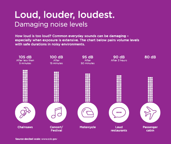 Noise induced hearing loss chart